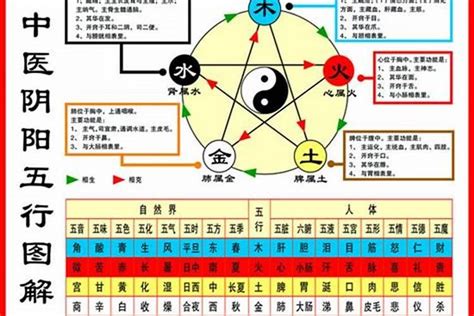 五行忌什么|怎么看自己的五行 怎么看自己的五行喜忌